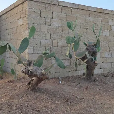 Apartment Masseria Delle Api Scorrano (Apulia)