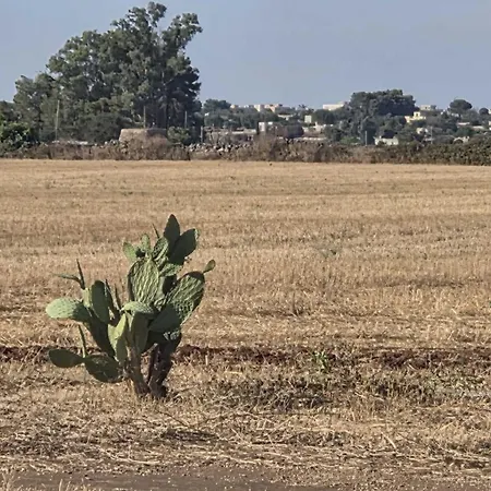 Masseria Delle Api Apartamento Scorrano (Apulia)